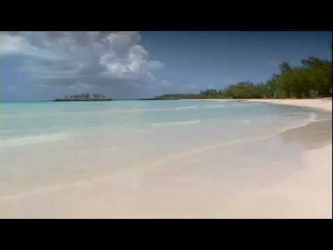 "I Just Called to Say I Love You" with sax.