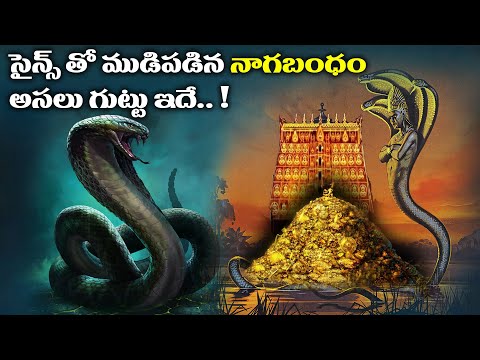నాగబంధం మిస్టరీ | Nagabandham real story Analysis | The Secret of Nagas | Lost Technology hidden |