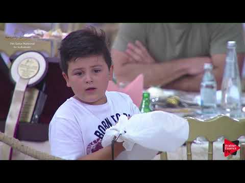 N.169 AMIR AL REEH - 2019 Qatar Individuals - Colts 2 Years Old (Class 5B) .mp4