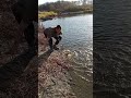 Video Thumbnail for Fall Bobber Fishing For Walleye.