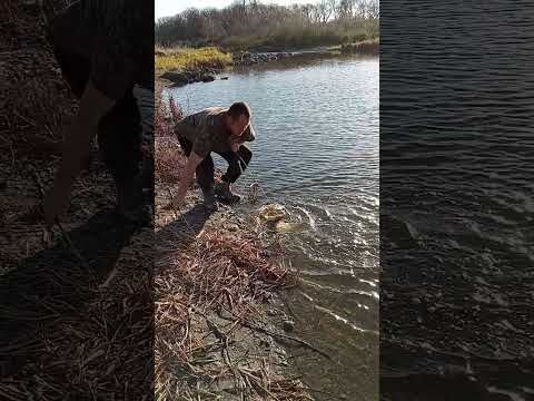 Fall Bobber Fishing For Walleye.