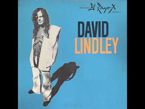 Twist and Shout - David Lindley and El Rayo-X