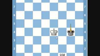 Chess Endgame- King and Rook