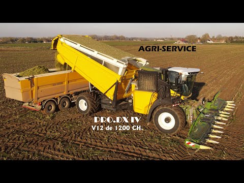 Un Monstre à l'ensilage de maïs🌽 | PRO.DX IV | AGRI-SERVICE
