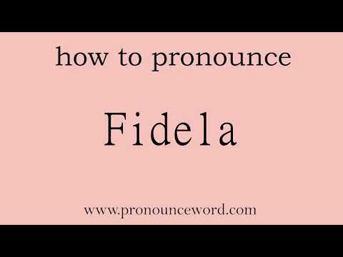 pronounce word:how to pronounce Fidela in english (correct!).