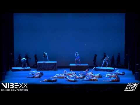 VIBE XX 2015 - Team Millennia