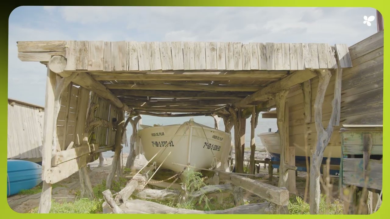 Projecte de Renovació del Paviment i Serveis Diversos d'Infraestructura als Pujols