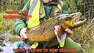 Trout Fishing for Brown & Rainbow in Flaxy Lakes in NZ Ep 159