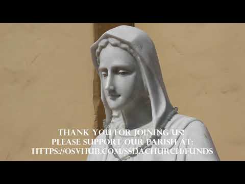 10:30 AM Missa Cantata - Dominica XIIV Post Pentecosten