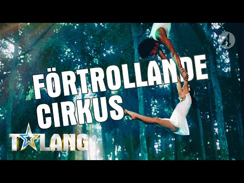 Cirkus Unik framför ett otroligt akrobatiskt nummer i Talang 2019  - Talang (TV4)
