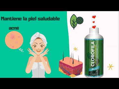 CLOROFILA - NETWOR STORE