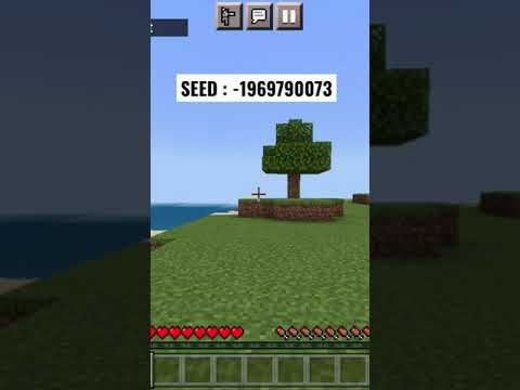 Minecraft Bedrock 1.17 Island Seed With 1 Tree And Ocean Ruins #shorts