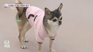 [G1 뉴스쇼] 뉴스+/ G1방송 20260205