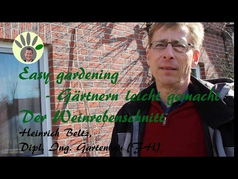 Grapevine pruning part 1 - Heinrich Beltz - Pruning grapevines correctly in winter