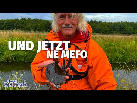 Sea trout fishing in the AU - Anything can happen here - Our goal is fish with Jörg Ovens