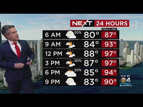 Miami Weather Monday 10/10/22 11PM