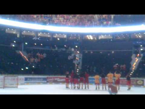 DEG Fans in Hamburg - 24.02.2013