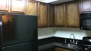 preview picture of video 'Apartments For Rent in Atlanta GA 1BR/1BA by Property Managers Atlanta'