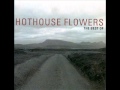 HOTHOUSE FLOWERS ALRIGHT