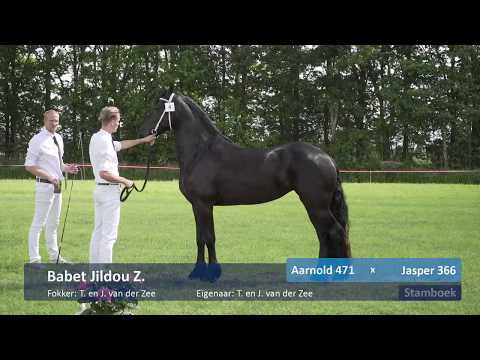 Locatiekeuring Stal fan de Kadyk 20-6-2020