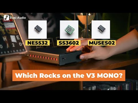 NE5532 vs SS3602 vs MUSES02! Different Op-Amps Showdown on the Fosi Audio V3 MONO Power Amp!