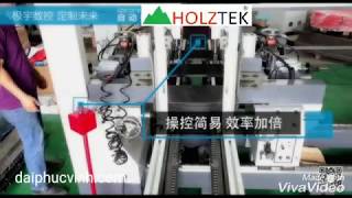 Máy khoan liên kết 4 giàn tự động nạp phôi Holztek