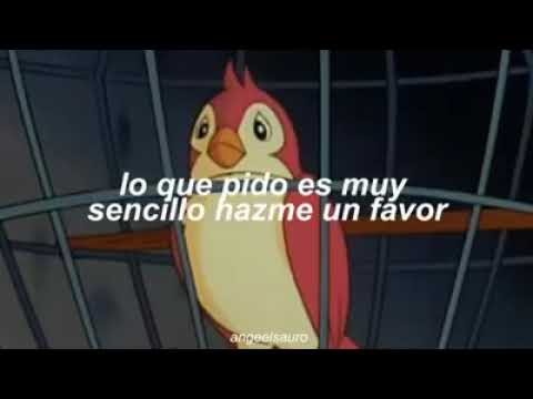 Soy un pajarito ❤️