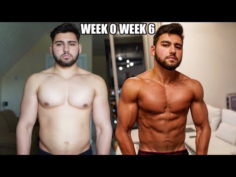 6 Week Body Transformation | 6 Steps to Lose Fat