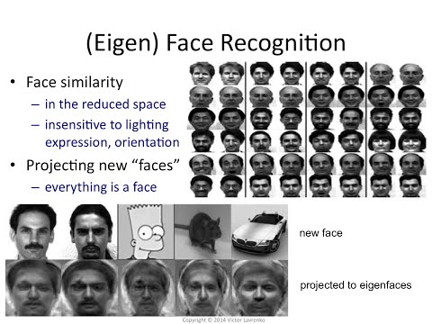 PCA 17: Properties of eigenfaces