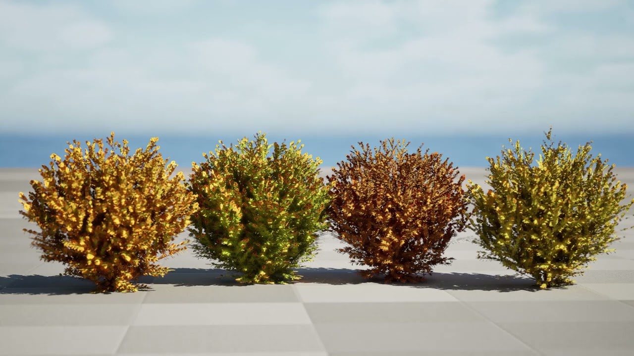 Capo dei vigili del fuoco Arborvitae Modello 3D