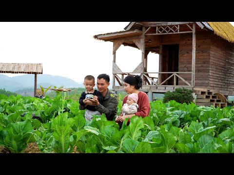 My Wife and Children Visit the Farm, Harvesting Arrowroot and Making Glass Noodles