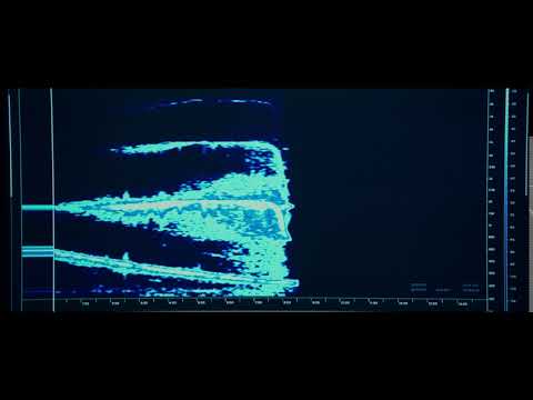 The Wolf's Call (sonar sound) - YouTube