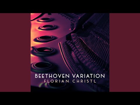 Beethoven Variation (After String Quartet No. 13, Op. 130: II)