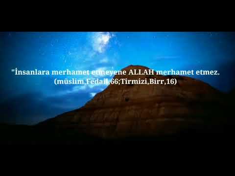 Hâdisi şerifler . öğrenin öğretin....