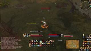 Attackbar - Auto Attack timer. Great for warriors/paladins/rogues/shamans.