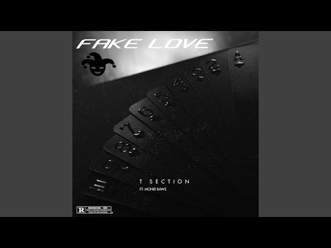 Fake Love (feat. Monir Baws)