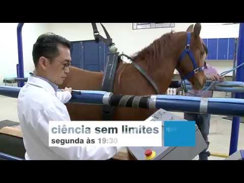 Ciência Sem Limites | Teaser Medicina esportiva em equinos