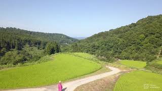新潟県十日町市の夏の棚田をドローン撮影-Niigata,Japan