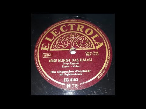 Leise klingt das Halali - Die singenden Wanderer mit Begleitorchester
