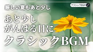 Download lagu 夏の終わりに聴くクラシック|前向きな習慣を育てるクラシック #クラシック音楽 #クラシック #朝の音楽 mp3 Download lagu 夏の終わりに聴くクラシック|前向きな習慣を育てるクラシック #クラシック音楽 #クラシック #朝の音楽 mp3