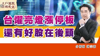 台燿亮燈漲停板 還有好股在後頭 (圖)