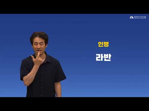 라반 수어