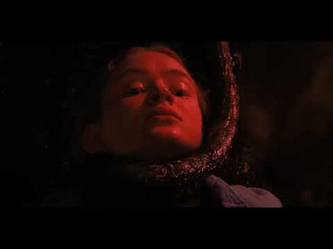 Stranger Thanks feat. Die Flippers - Wir sagen danke schön