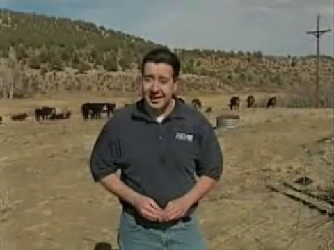 UFO Cattle Mutilation In Colorado Mar 11, 2009 #alien