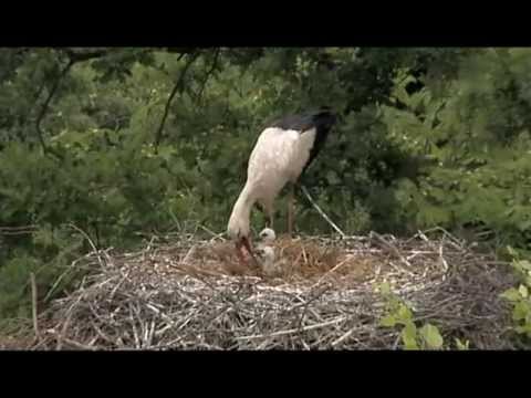 Bilder aus dem früheren Ostpreussen 2005