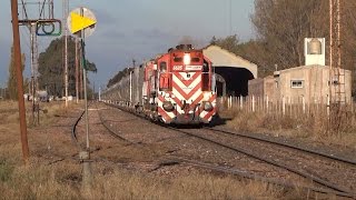 preview picture of video 'Tren de FEPSA saliendo de Darregueira'