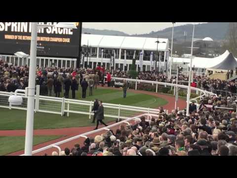 Sprinter sacre! Winners enclosure