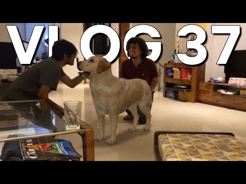 PLAYING WITH OUR NEW DOG! - VLOG 37