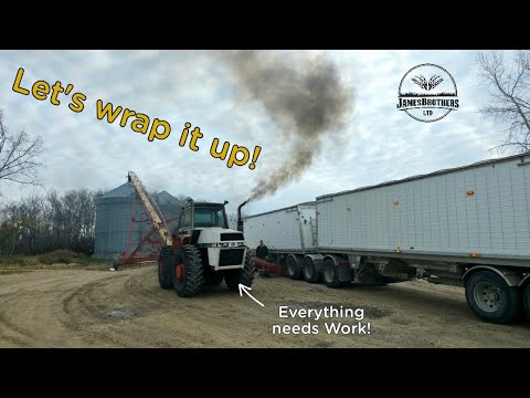 83 days later, we finished harest!!