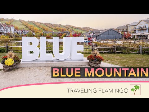 Everything you need to know - Blue Mountain Village Ontario